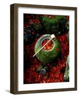 Basin with Maple Leaves-null-Framed Photographic Print