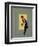 Basket Ball Girl-Hamilton King-Framed Giclee Print