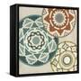 Basket Motif III-June Erica Vess-Framed Stretched Canvas