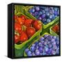 Basket o' Berries-Terri Hill-Framed Stretched Canvas