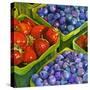 Basket o' Berries-Terri Hill-Stretched Canvas