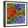 Basket o' Berries-Terri Hill-Framed Giclee Print