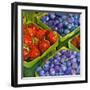 Basket o' Berries-Terri Hill-Framed Giclee Print