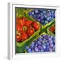 Basket o' Berries-Terri Hill-Framed Giclee Print