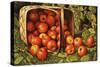 Basket of Apples-Levi Wells Prentice-Stretched Canvas