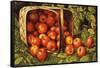 Basket of Apples-Levi Wells Prentice-Framed Stretched Canvas