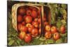 Basket of Apples-Levi Wells Prentice-Stretched Canvas