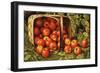 Basket of Apples-Levi Wells Prentice-Framed Giclee Print