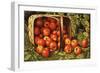 Basket of Apples-Levi Wells Prentice-Framed Giclee Print