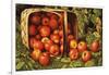 Basket of Apples-Levi Wells Prentice-Framed Giclee Print