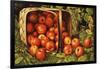 Basket of Apples-Levi Wells Prentice-Framed Giclee Print