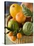 Basket of Assorted Citrus Fruit-Vladimir Shulevsky-Stretched Canvas