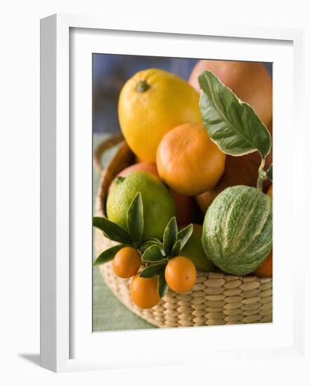 Basket of Assorted Citrus Fruit-Vladimir Shulevsky-Framed Photographic Print