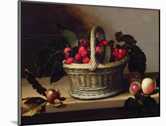 Basket of Blackberries and Raspberries (Oil on Canvas)-Louise Moillon-Mounted Giclee Print