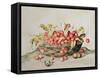 Basket of Cherries, 1998-Amelia Kleiser-Framed Stretched Canvas
