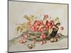 Basket of Cherries, 1998-Amelia Kleiser-Mounted Giclee Print