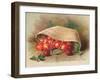 Basket of Cherries, Christmas Card-null-Framed Giclee Print