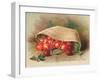 Basket of Cherries, Christmas Card-null-Framed Giclee Print