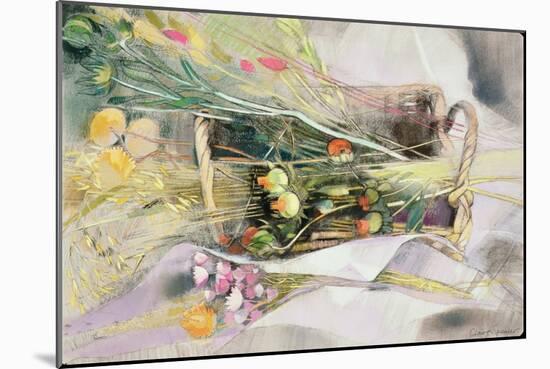 Basket of Dried Flowers-Claire Spencer-Mounted Giclee Print