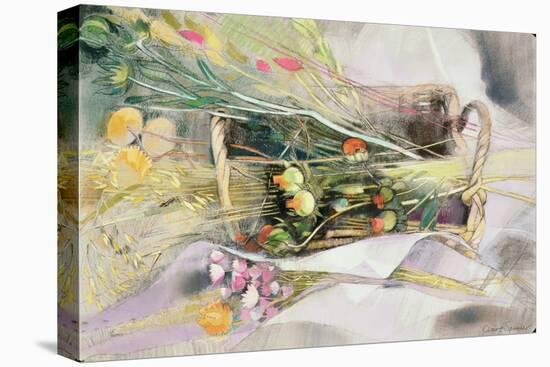 Basket of Dried Flowers-Claire Spencer-Stretched Canvas