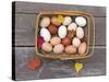 Basket of Eggs-null-Stretched Canvas