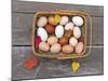 Basket of Eggs-null-Mounted Photographic Print