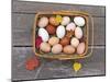 Basket of Eggs-null-Mounted Photographic Print