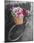 Basket of Flowers I-Assaf Frank-Mounted Art Print