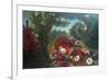 Basket of Flowers-Eugene Delacroix-Framed Premium Giclee Print