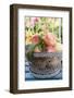 Basket of Fresh Peaches on a Garden Table-Eising Studio - Food Photo and Video-Framed Photographic Print