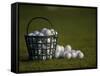 Basket of Golf Balls-null-Framed Stretched Canvas