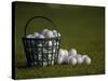 Basket of Golf Balls-null-Stretched Canvas