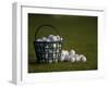 Basket of Golf Balls-null-Framed Premium Photographic Print