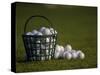 Basket of Golf Balls-null-Stretched Canvas