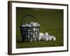 Basket of Golf Balls-null-Framed Photographic Print