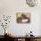 Basket of Grapes-Jennifer Garant-Giclee Print displayed on a wall