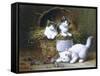 Basket of Mischief-Leon Charles Huber-Framed Stretched Canvas