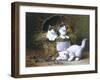 Basket of Mischief-Leon Charles Huber-Framed Giclee Print