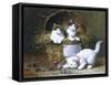 Basket of Mischief-Leon Charles Huber-Framed Stretched Canvas