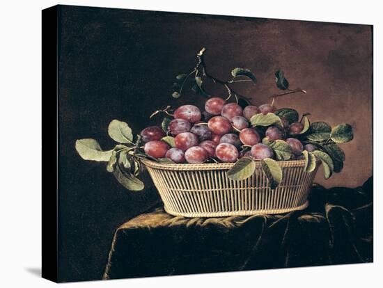 Basket of Plums-Pierre Dupuis-Stretched Canvas