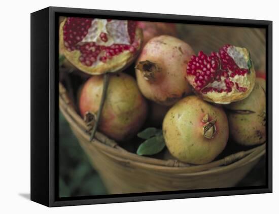 Basket of Pomegranate, Oaxaca, Mexico-Judith Haden-Framed Stretched Canvas