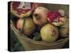 Basket of Pomegranate, Oaxaca, Mexico-Judith Haden-Stretched Canvas