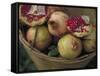 Basket of Pomegranate, Oaxaca, Mexico-Judith Haden-Framed Stretched Canvas