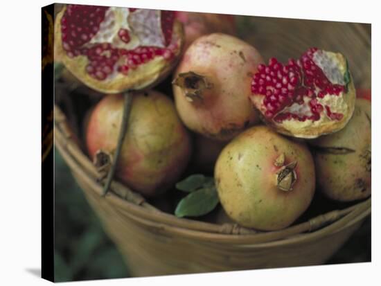 Basket of Pomegranate, Oaxaca, Mexico-Judith Haden-Stretched Canvas