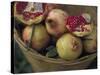 Basket of Pomegranate, Oaxaca, Mexico-Judith Haden-Stretched Canvas