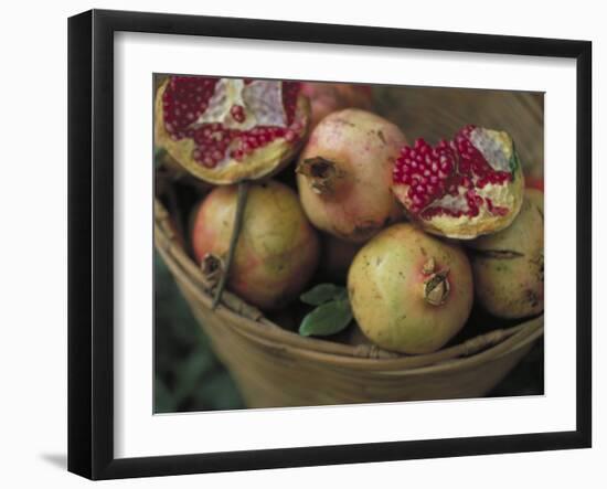 Basket of Pomegranate, Oaxaca, Mexico-Judith Haden-Framed Photographic Print