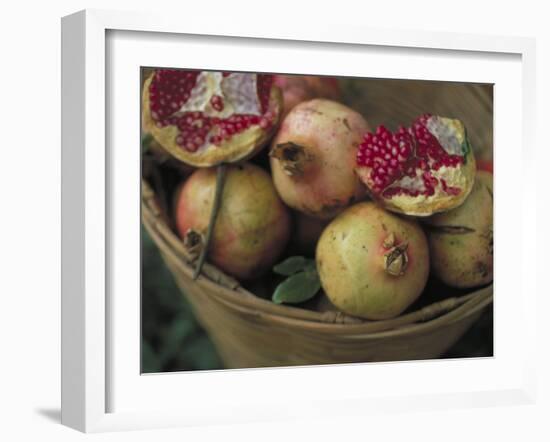 Basket of Pomegranate, Oaxaca, Mexico-Judith Haden-Framed Photographic Print