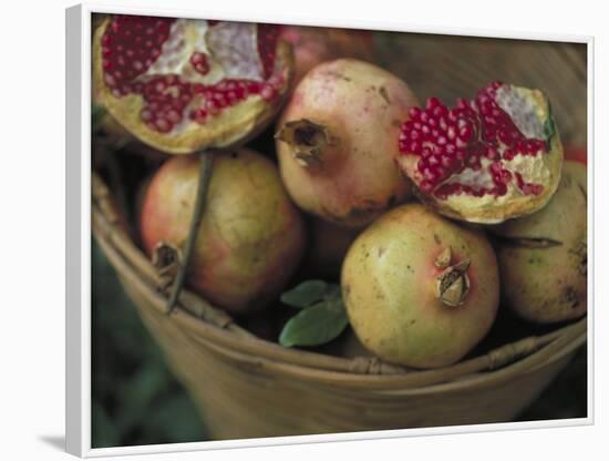 Basket of Pomegranate, Oaxaca, Mexico-Judith Haden-Framed Photographic Print