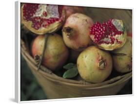 Basket of Pomegranate, Oaxaca, Mexico-Judith Haden-Framed Photographic Print