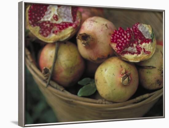 Basket of Pomegranate, Oaxaca, Mexico-Judith Haden-Framed Photographic Print